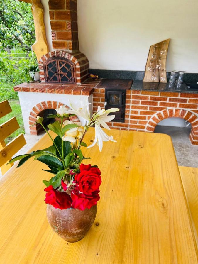 Casa De Vacanta Motata โนวาชิ-สเตรยนี ภายนอก รูปภาพ